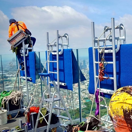 Mobile davit for cleaning